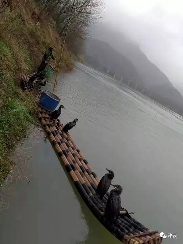 妻女遗体已找到，浙江“开车过溪”男子后悔了