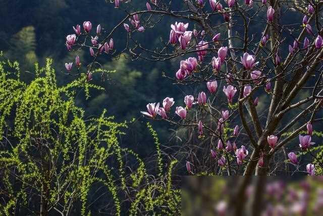 夫妻在床上恩爱的 5 个姿势 夫妻要三戒