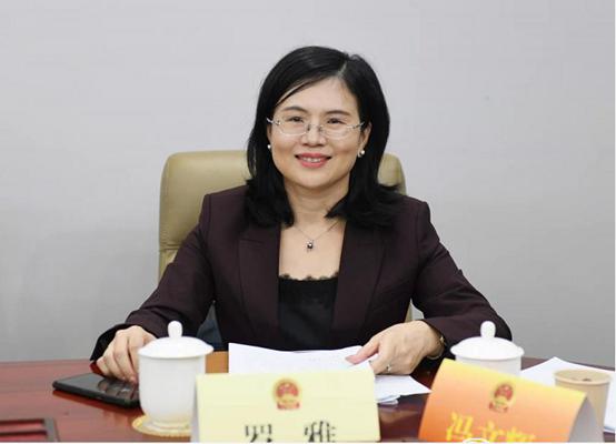 罗雅：加快实现城区环境精彩蝶变，“美丽龙岗”魅力绽放