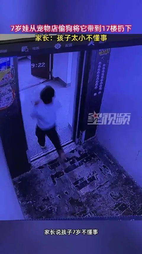 监控曝光!男孩偷走宠物店的狗从17楼摔死,家长:孩子太小不懂事