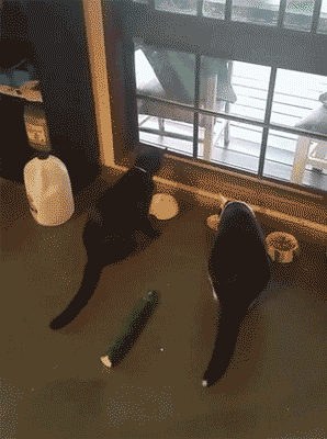 公司新来的女员工不仅身材好，工作能力也强，每次老板出差都带她