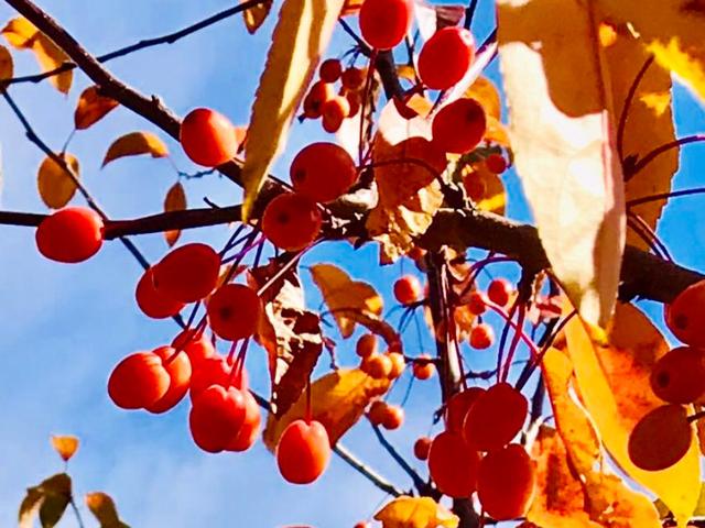 神仙会（怪味散文）