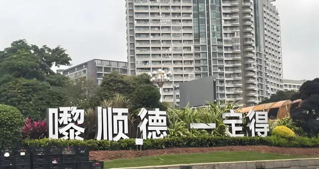 杭州有六小龙，顺德有五小虎吗？