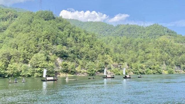 久久为功推进“千万工程”，“浙”里村美人和增收路子宽