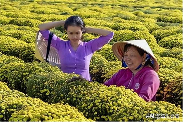 公公强上儿媳6年，当儿子面做苟且之事，结果忍无可忍发生悲剧