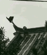 公司新来的女员工不仅身材好，工作能力也强，每次老板出差都带她