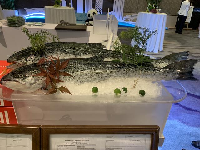 进口量增长507.5%，9成中转至全国，三文鱼中转地为何在成都？