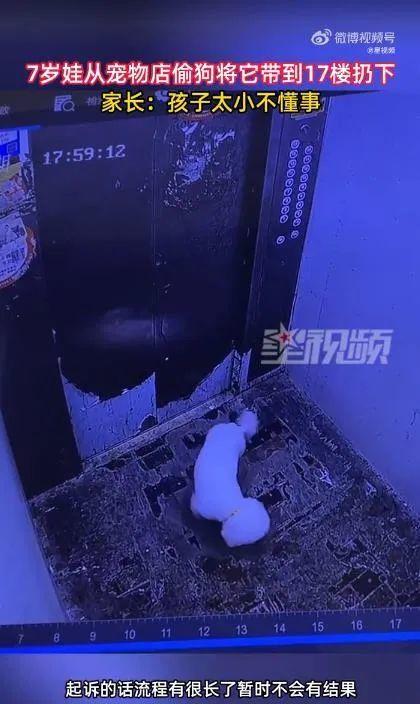 监控曝光!男孩偷走宠物店的狗从17楼摔死,家长:孩子太小不懂事