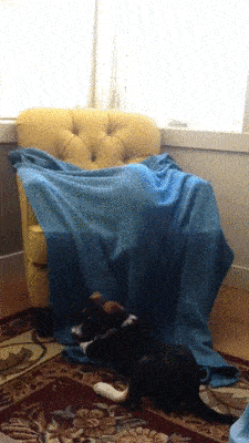 公司新来的女员工不仅身材好，工作能力也强，每次老板出差都带她