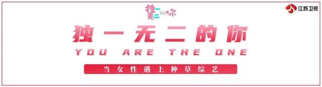 闪光新荔量！2023江苏卫视节目赏新暨资源推介会一口气官宣了22档节目