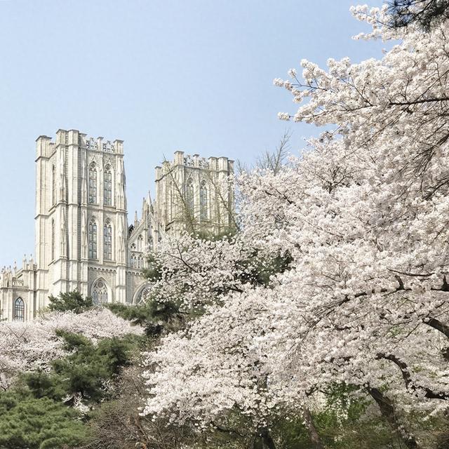 韩国人常用的音乐app有哪些？有哪些付费标准和优缺点？