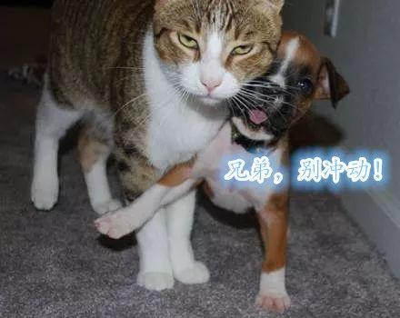 王记得,删了微博吧,我们就当没看见