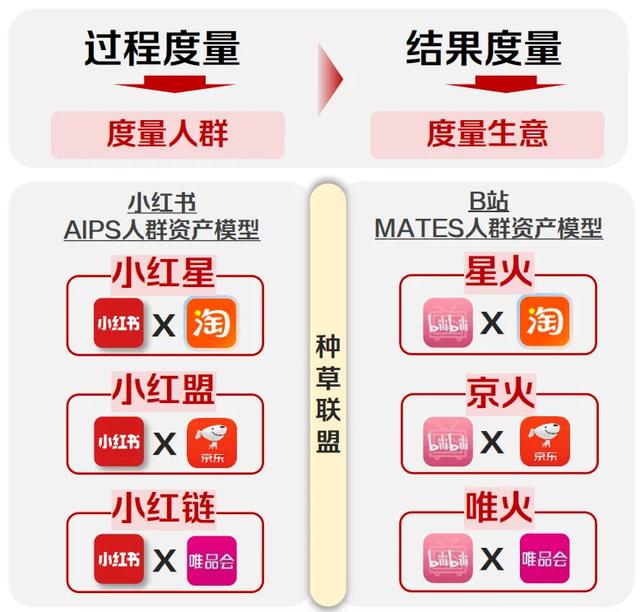 好奇心周报丨2024-2025年十大营销趋势盘点