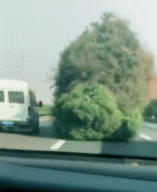 公司新来的女员工不仅身材好，工作能力也强，每次老板出差都带她