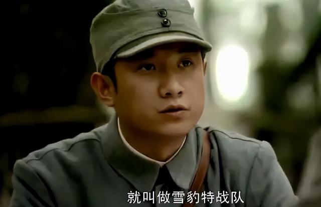 备受欢迎的10部抗战剧，《雪豹》第六，《亮剑》只能排第二