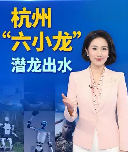 杭州有六小龙，顺德有五小虎吗？