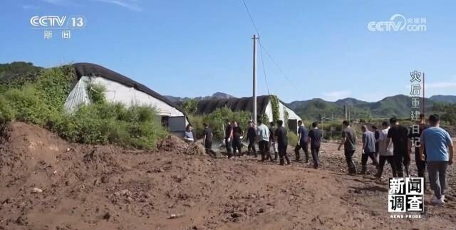 泡水菌棒如何处理？如何减少农户经济损失？八方支援辽宁建昌县灾后重建