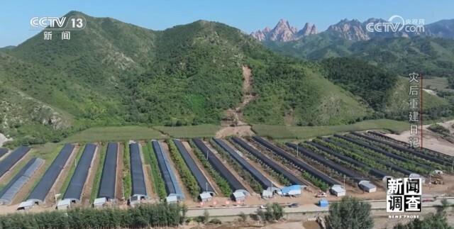 泡水菌棒如何处理？如何减少农户经济损失？八方支援辽宁建昌县灾后重建