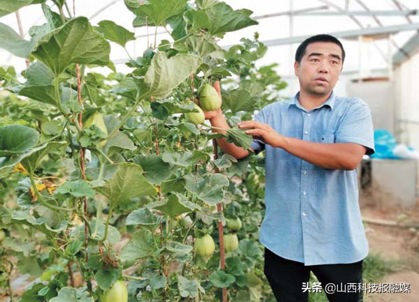 “忻州瓜王”侯学光