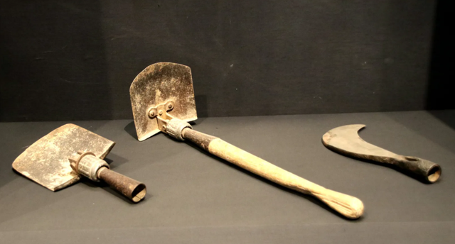 人类是由鱼进化来的，有化石作证，从鱼到人如何进化？