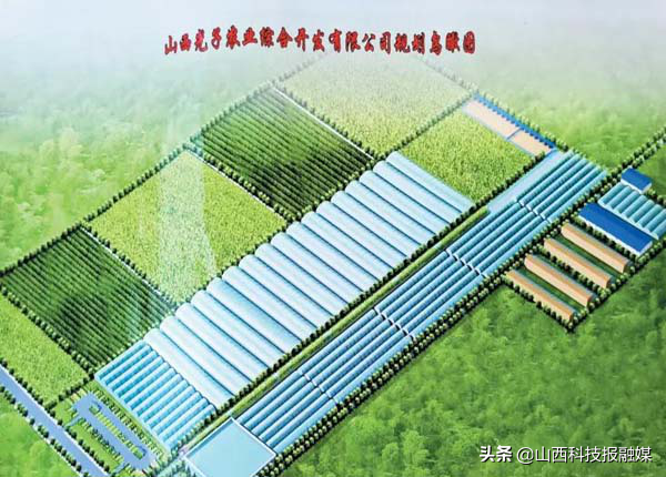 “忻州瓜王”侯学光