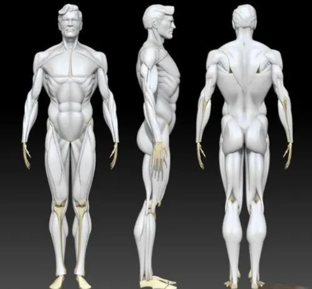 人类是由鱼进化来的，有化石作证，从鱼到人如何进化？