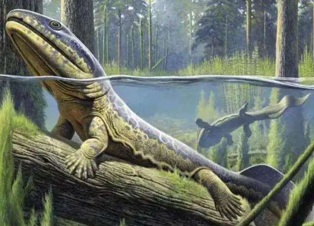 人类是由鱼进化来的，有化石作证，从鱼到人如何进化？