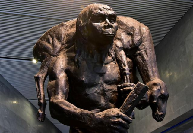 人类是由鱼进化来的，有化石作证，从鱼到人如何进化？