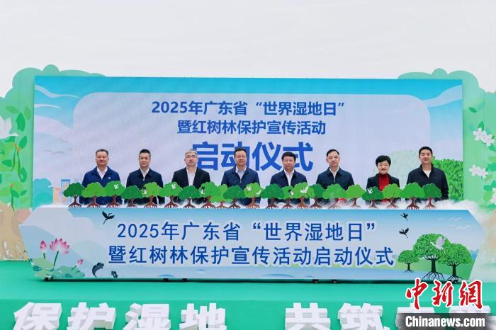 广东约95%红树林纳入生态保护红线管理