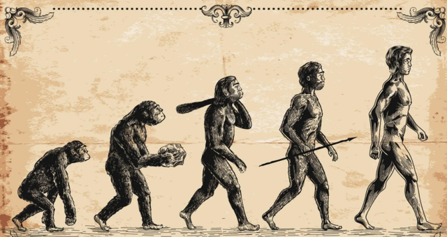 人类是由鱼进化来的，有化石作证，从鱼到人如何进化？