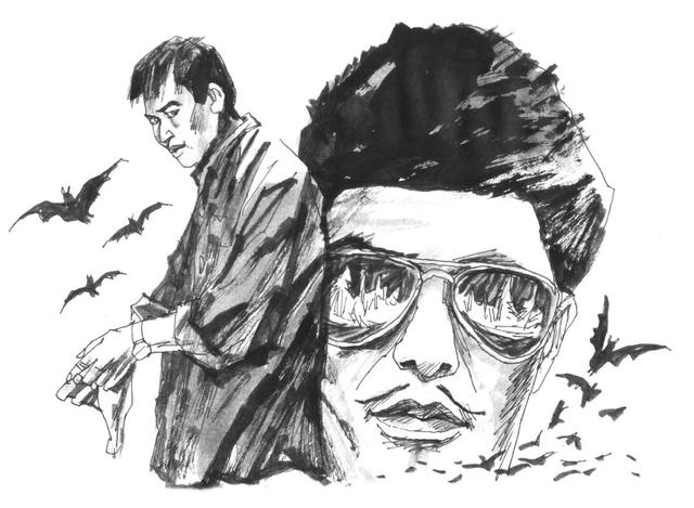 长篇连载：秘密森林