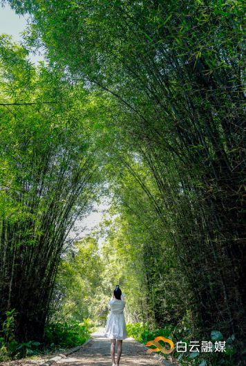 走!打卡云溪湾,尝乡间美食、看农家晒稻、走绿道摘果蔬……