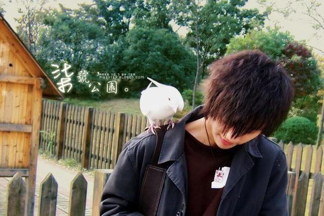 这些曾经的“非主流”歌曲，很多人听着听着就哭了