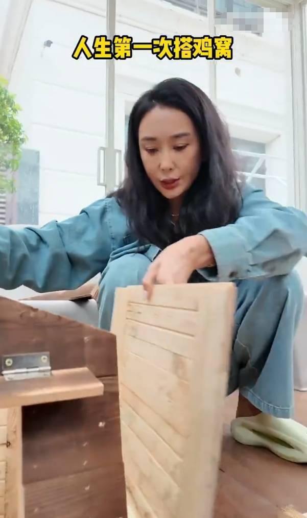 严屹宽老婆杜若溪帮女儿养鸡！小鸡生病还给挂了急诊