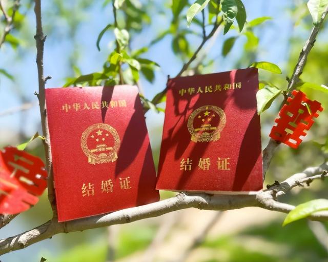 体操女神张豆豆:凭挺胸照走红,拒绝进入娱乐圈,与孙杨狂秀恩爱