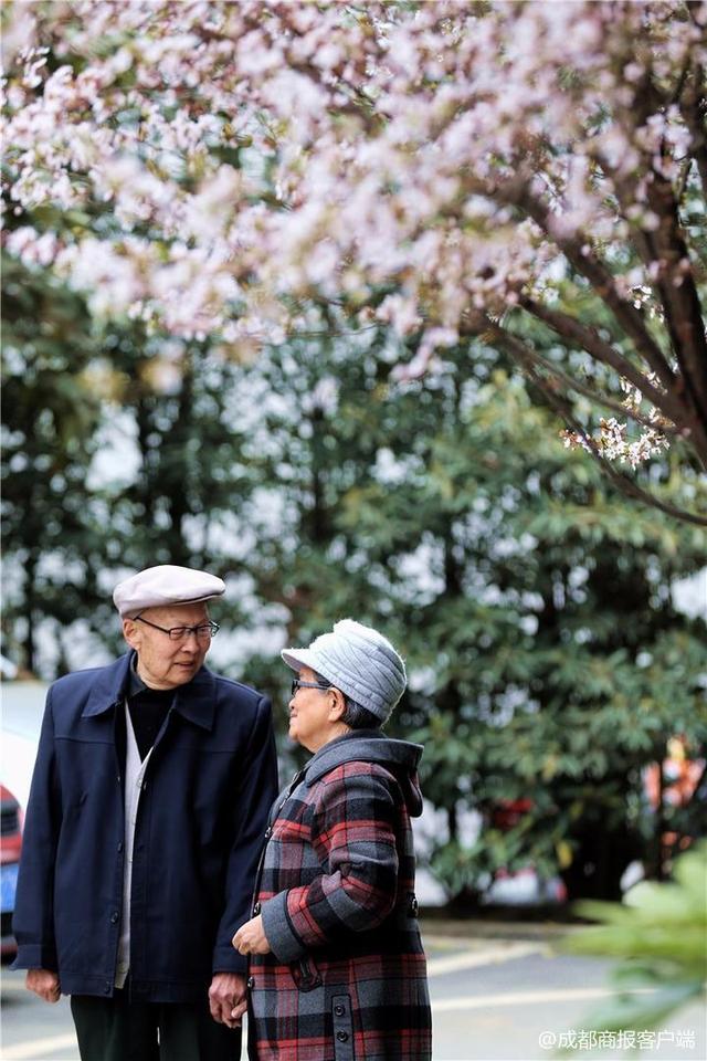 视频|超有爱!成都女孩给8旬爷爷奶奶拍迟到66年的婚纱照