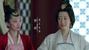 梅长苏和静妃相认(《琅琊榜》静妃聪慧异常，仅凭一本书就猜出梅长苏真实身份)