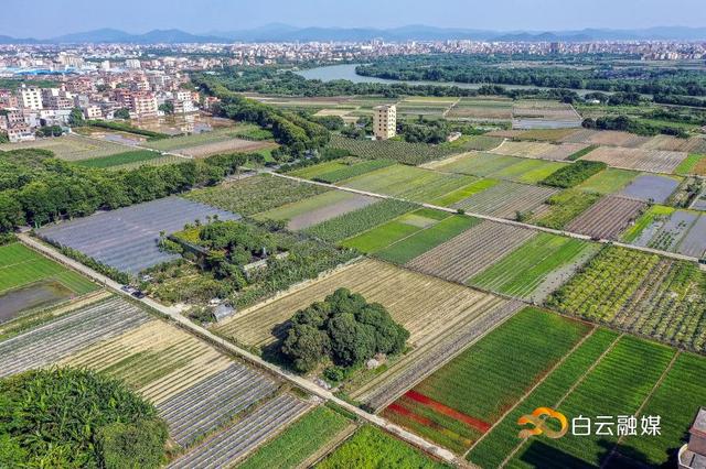 走!打卡云溪湾,尝乡间美食、看农家晒稻、走绿道摘果蔬……