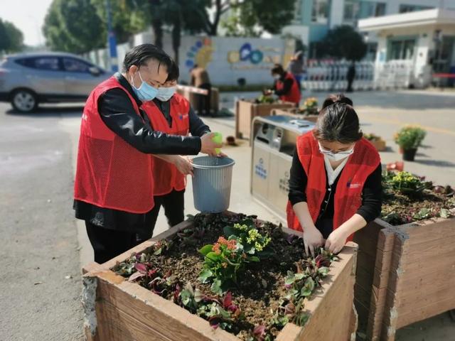 当五星级农贸市场经理“老郎”成为“街面长”丨金海两长荟