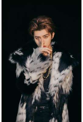 蔡徐坤代表作(南都娱乐2018十大人物·蔡徐坤 强势人气，顶级流量)