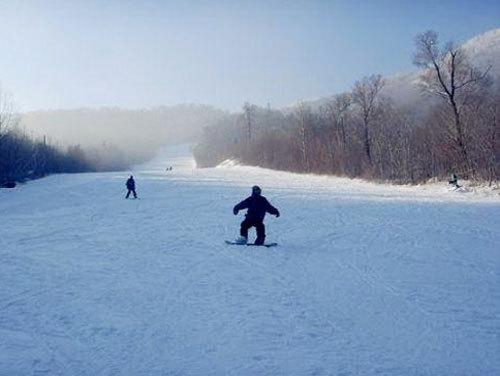 2019盘点晋江文学城签约影视化的言情小说，提前预知未来爆款