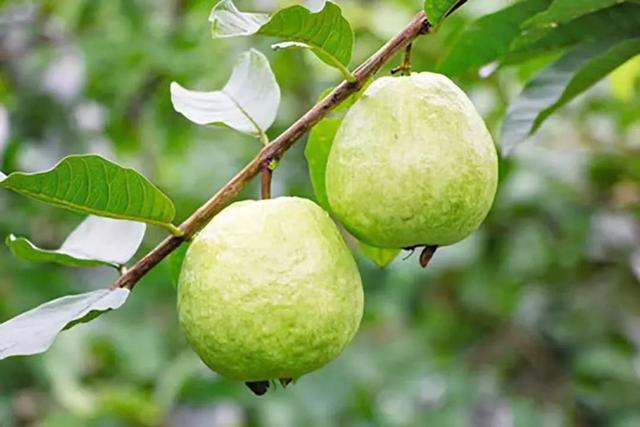 走!打卡云溪湾,尝乡间美食、看农家晒稻、走绿道摘果蔬……