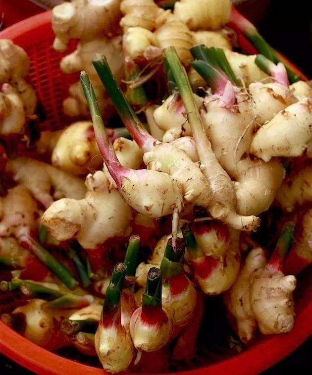 “姜”吃肉进行到底