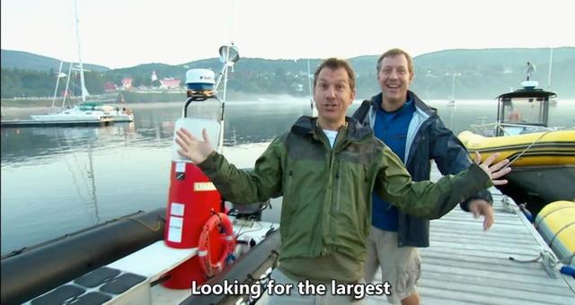 风靡180个国家美国野外探险科普动画《动物兄弟 Wild Kratts》