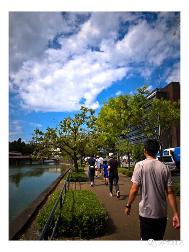 村上：当我谈陪跑时，我特么究竟在谈什么