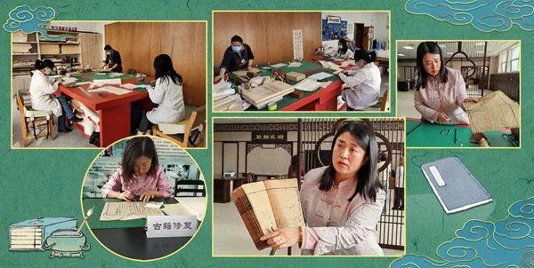 这届年轻人带薪“撸虎玩熊”?网友:梦想职业无疑了