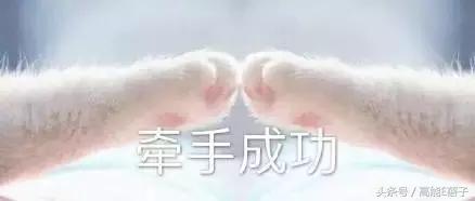 薛之谦高磊鑫复合:十年长情,段子背后不为人知的孤独与伤痛