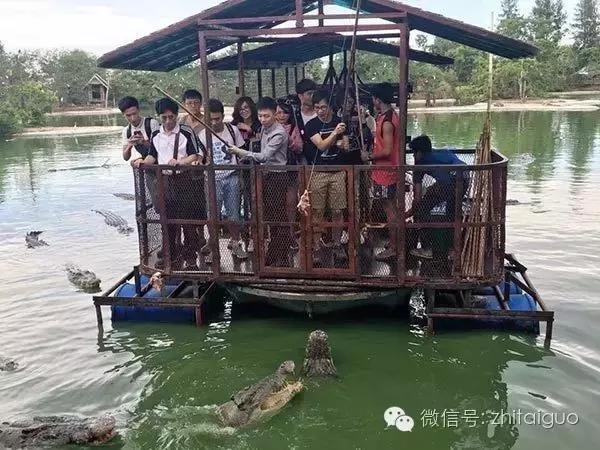 芭提雅鳄鱼潭被勒令暂时歇业整顿 消除安全隐患