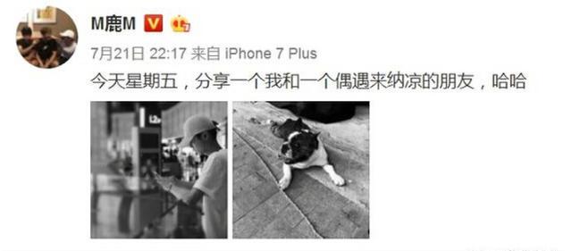 鹿晗与迪丽热巴私下聚餐的画面终于被网友拍到了