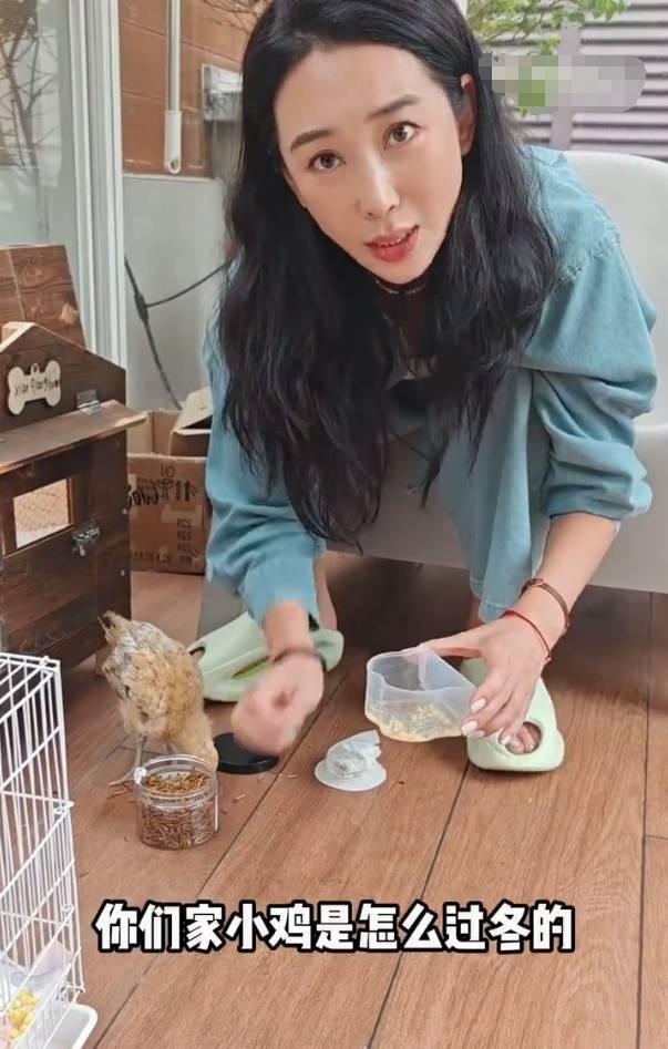 严屹宽老婆杜若溪帮女儿养鸡！小鸡生病还给挂了急诊